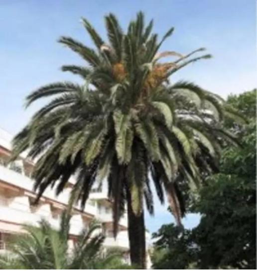 Eden Apartment Saint-Tropez Phòng bức ảnh